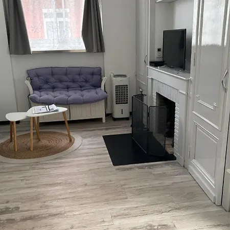 3 Pieces Avec Terrasse Entre Et Centre *