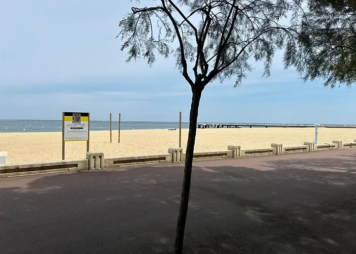 3 Pieces Avec Terrasse Entre Et Centre Appartement *